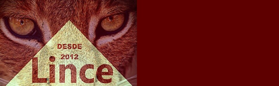 Lince Negócios, Licitações e Vendas
